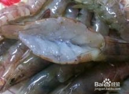 陪你过夜的蒜蓉蒸虾