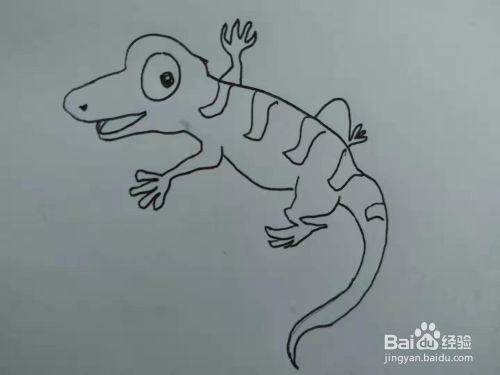 动物简笔画之蜥蜴画法教程 百度经验 动物简笔画之蜥蜴画法教程 百度经验