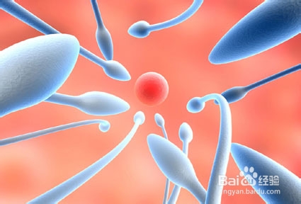 准妈妈应注意防止哪些环境伤害