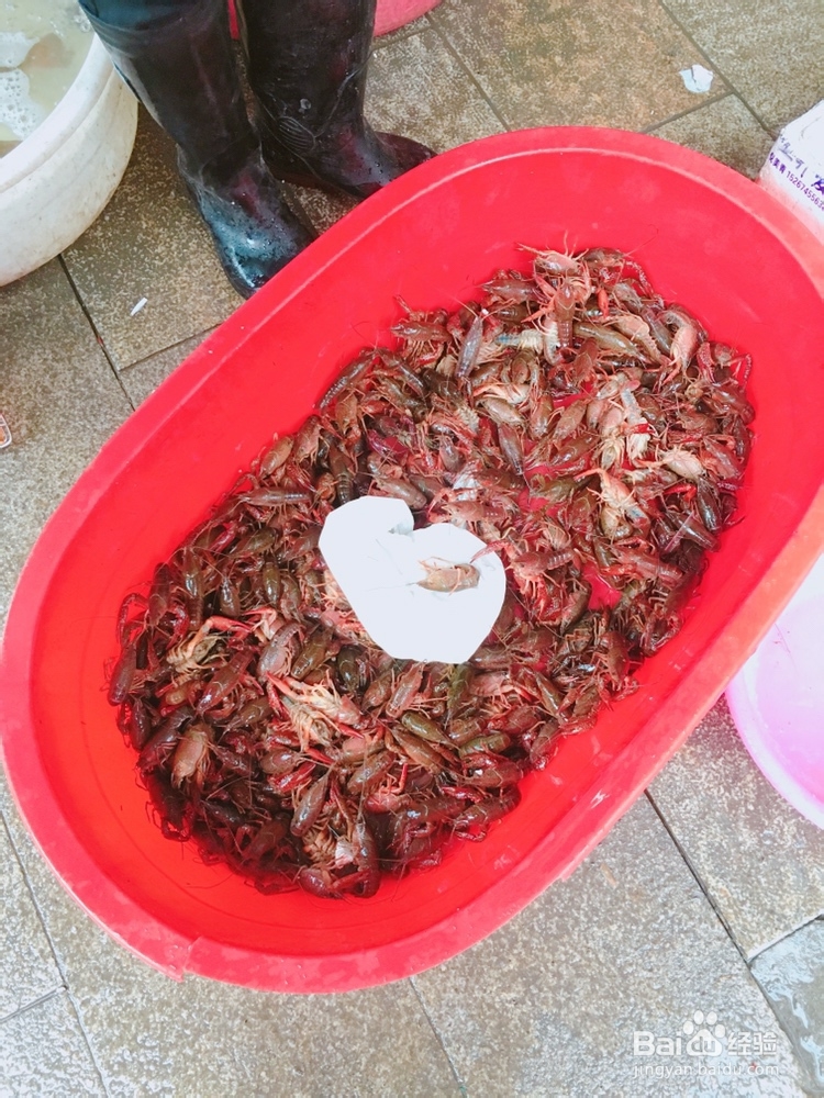 制作好吃的小龙虾