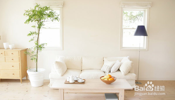 新房装修去除甲醛最有效的方法！