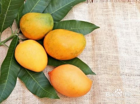 糖尿病人不宜多吃的水果