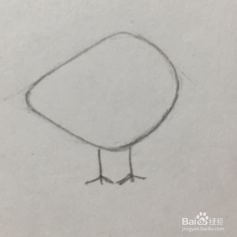 介绍2种彩色小鸟的简笔画法(1)