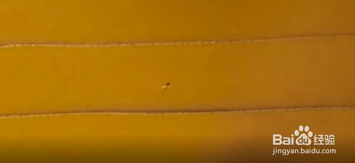 如何学会做漂亮的小商铺