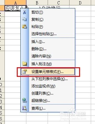 Excel怎么自动换行