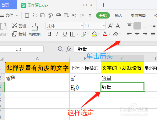 wps2019 第十二課 怎樣設置單雙下劃線格式