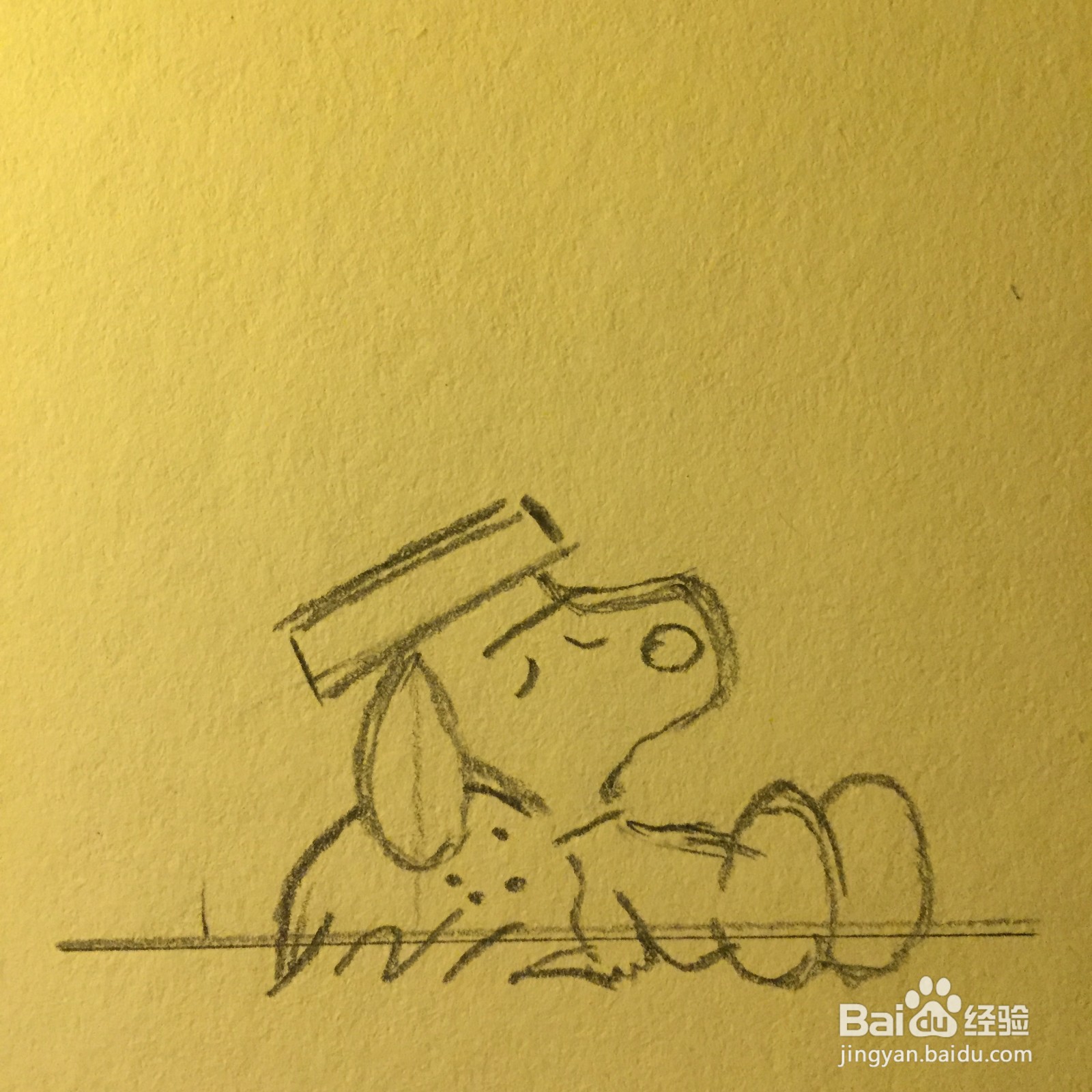 零基础学会史努比教程