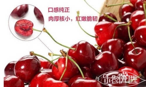 烟台大樱桃的特点