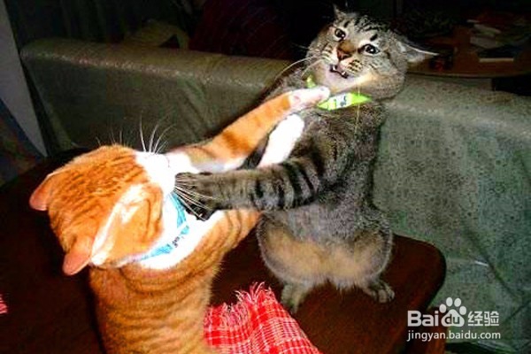 倒霉的时候怎么办