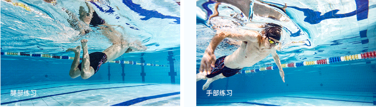 Speedo速比涛9步泳前课介绍
