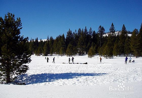 美国太浩湖滑雪旅游指南