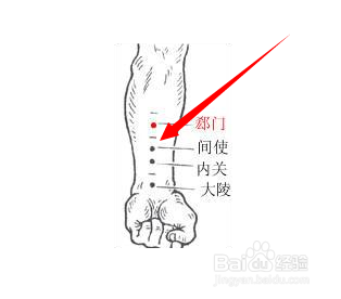 间使穴穴位位置图及作用