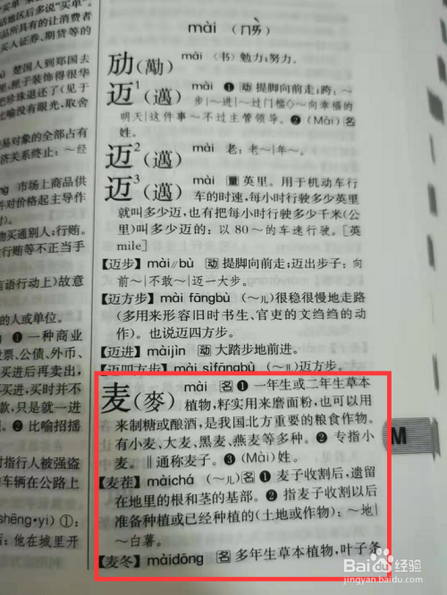 麦字按照什么部首查字典