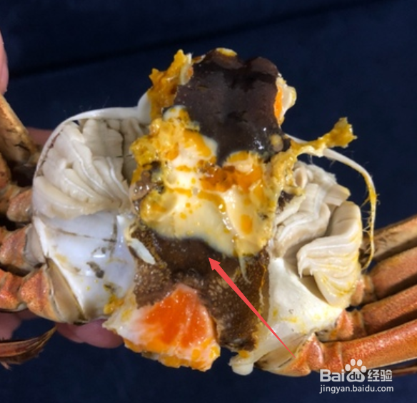 金秋吃蟹小贴士