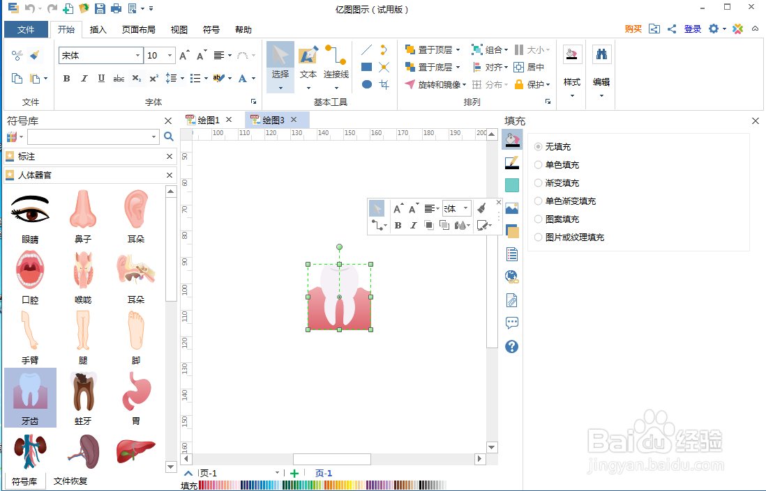在亿图图示中创建牙齿图