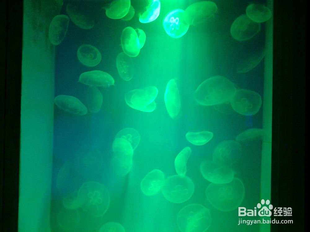 北海银滩自助游