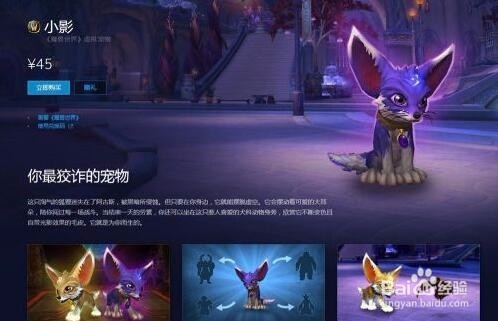 魔兽世界坐骑小影怎么获取