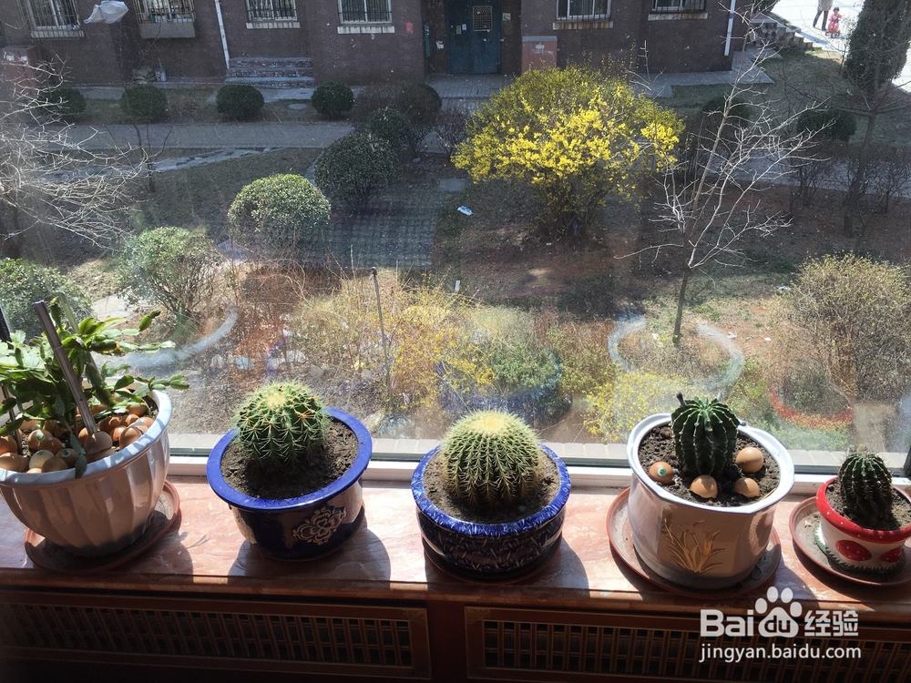 长时间使用电脑手机防辐射的小办法？