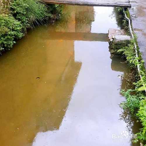 水浑浊怎么办