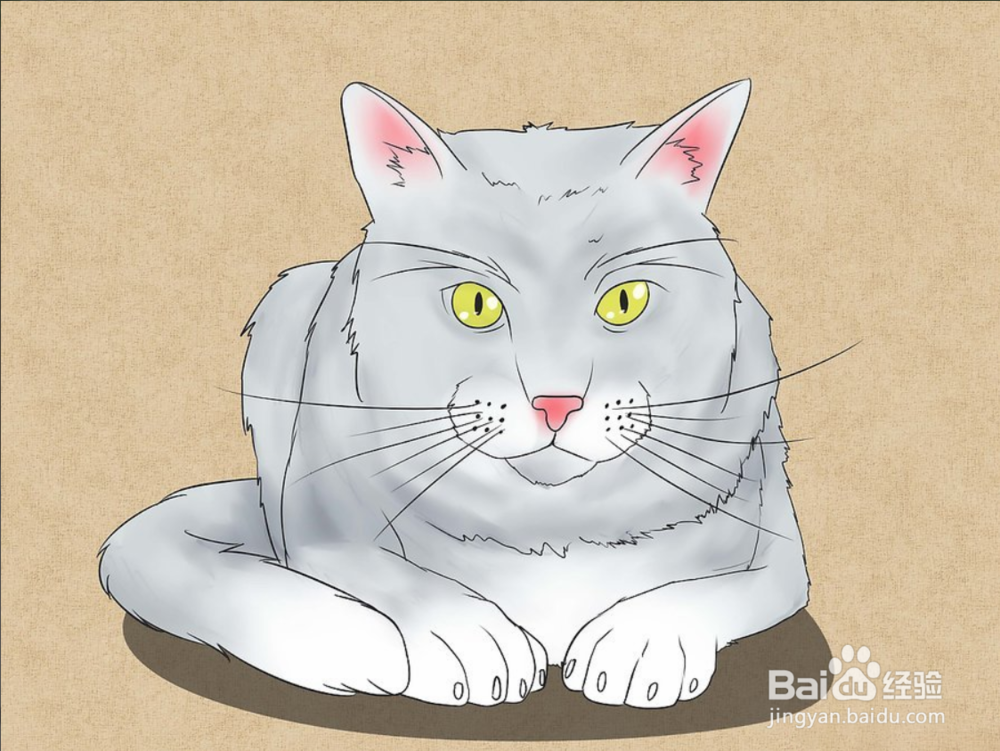 如何快速画姿势不一样的猫呢?