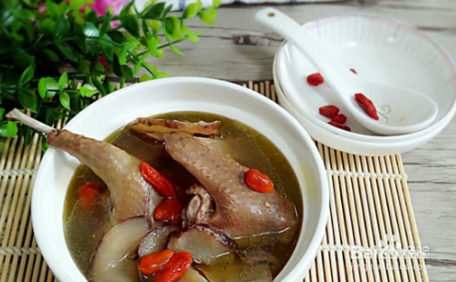 鸽子炖天麻的做法