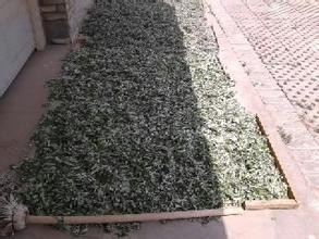 孩子长痱子怎么办?