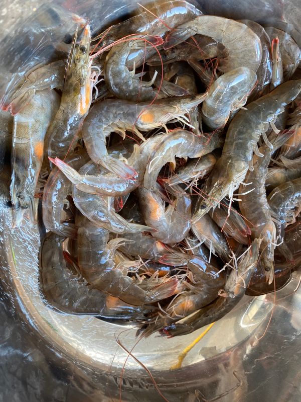 低脂下酒菜捞汁儿小海鲜