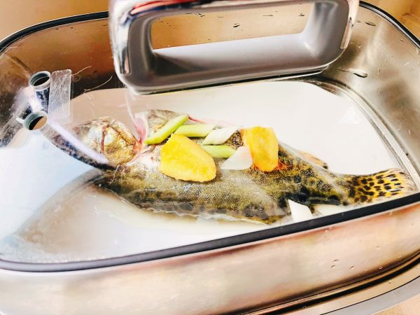 花式就酱蒸桂鱼