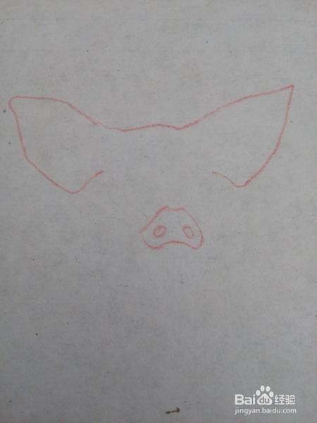 简笔画一只大肥猪