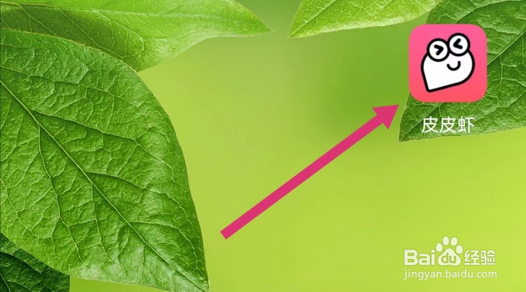 皮皮虾如何查看简版隐私政策？