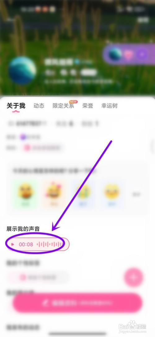 可可语聊怎么才能删除自我介绍声音
