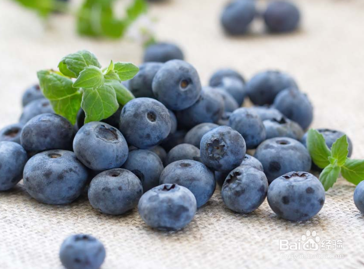 <b>最新鲜的蓝莓应该怎么吃</b>