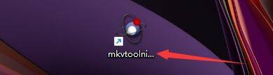 mkvtoolnix-gui如何只用第一个视频轨道输入文件