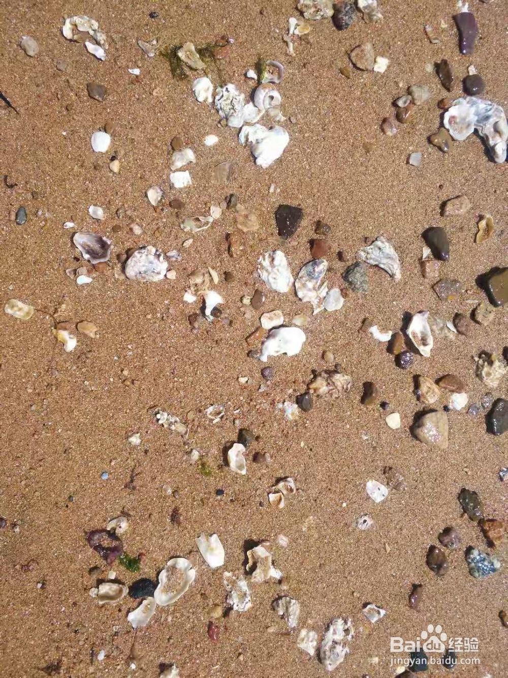辽宁葫芦岛兴城海边一日游