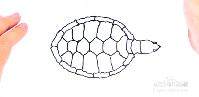 儿童简笔画——如何用彩笔一笔一笔画海龟