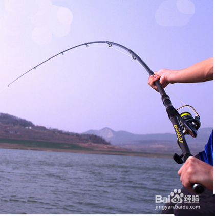 钓鱼竿的种类有哪些