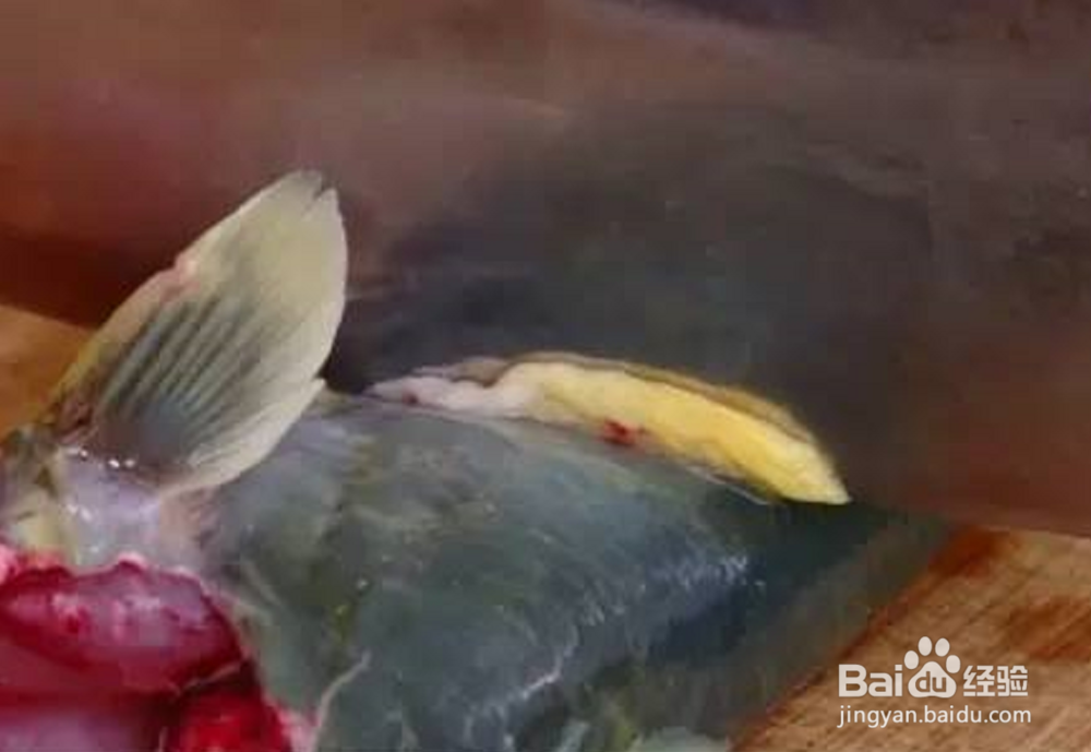 鲶鱼豆腐怎么做好吃