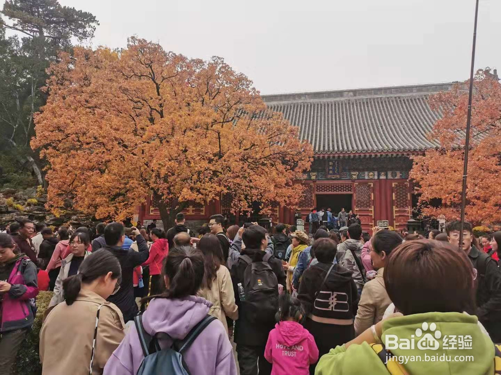 北京一日游 天安门 香山
