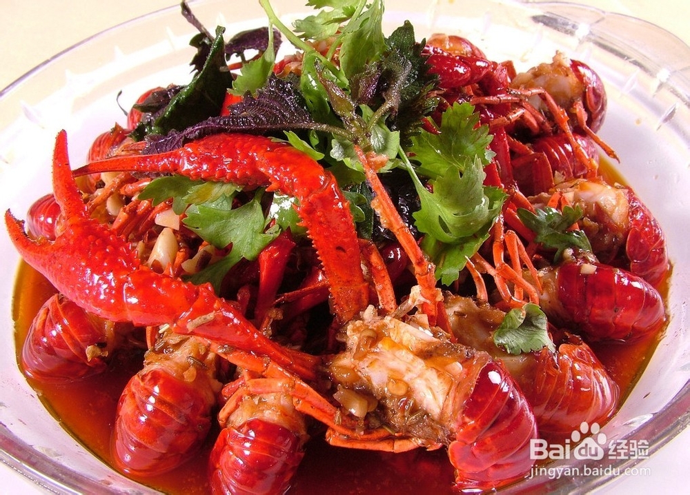 淄博到张家界自驾游