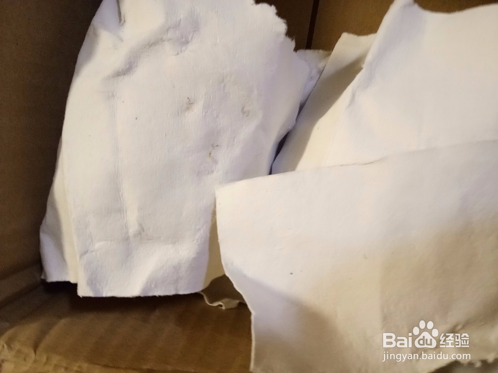 新买来的芒果只有八分熟应该怎么办才能熟透