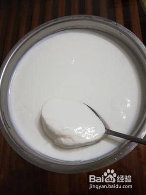 生物实验酸奶制作方法及步骤