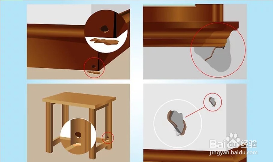 别墅白蚂蚁怎么消灭