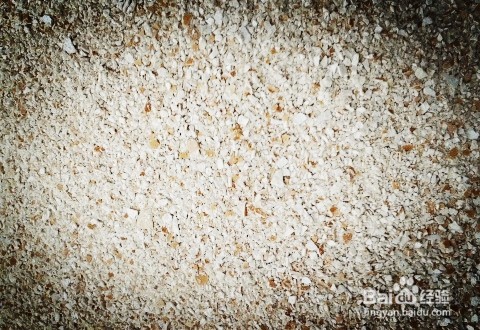 鸡蛋壳做花肥，让盆养植物疯长