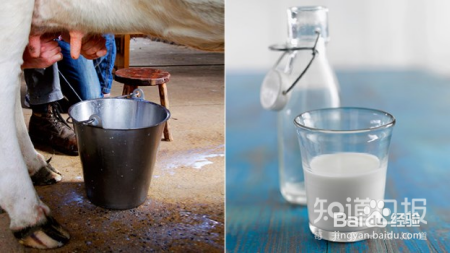 牛奶or豆浆，哪种更健康？