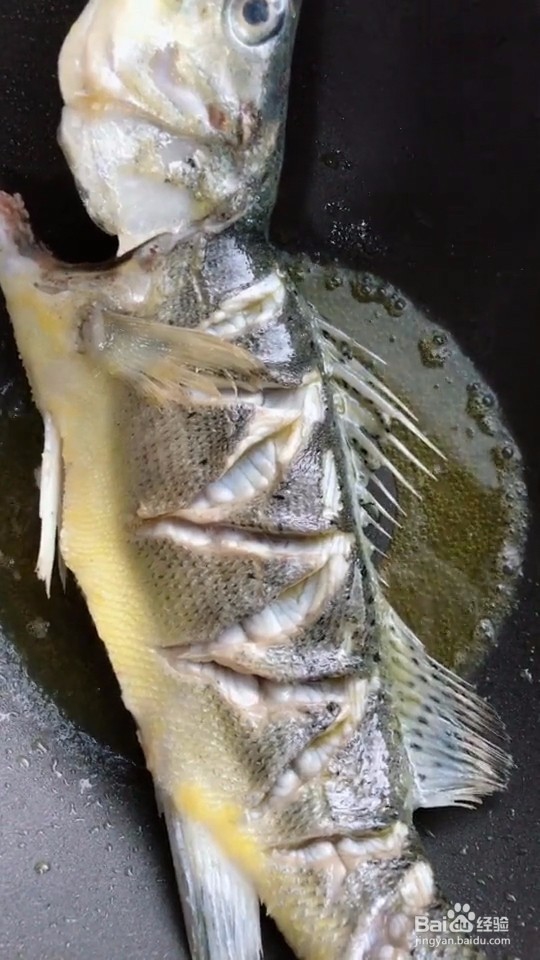 红烧海鲈鱼教程