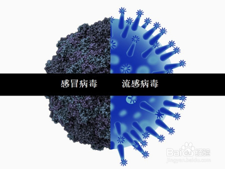 流感不是感冒  战略上需要高度重视