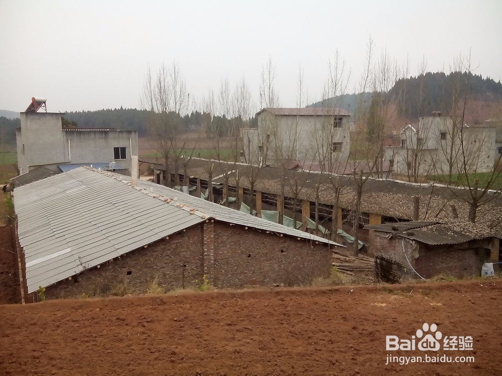 2016年春节回家过年历程