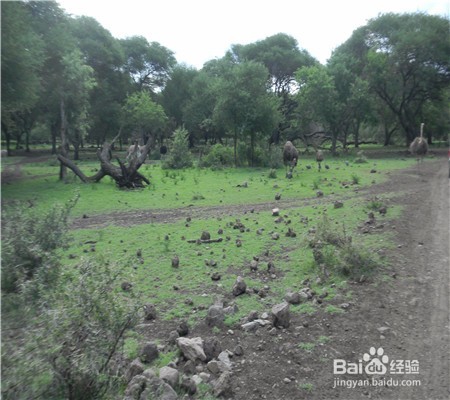 越野迷路怎么办