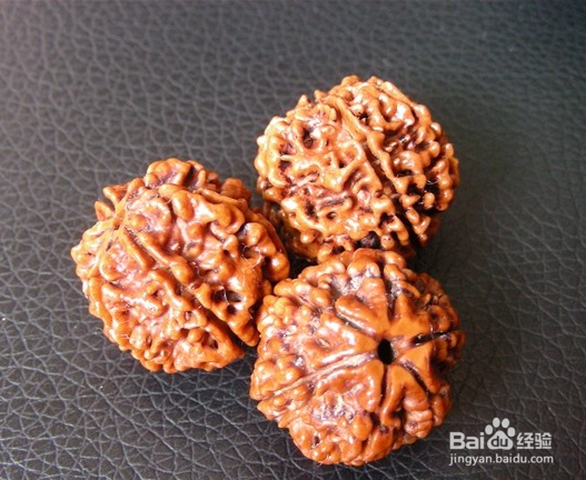 不同瓣数金刚菩提的寓意