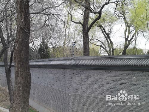 北京玉渊潭公园樱花节游记